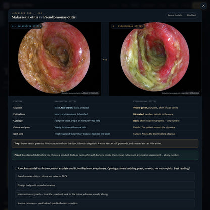 GlobalVet Clinical Atlas — Dog & Cat Visual Diagnosis Course — look inside 2