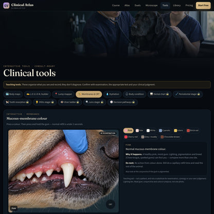 GlobalVet Clinical Atlas — Dog & Cat Visual Diagnosis Course — look inside 5