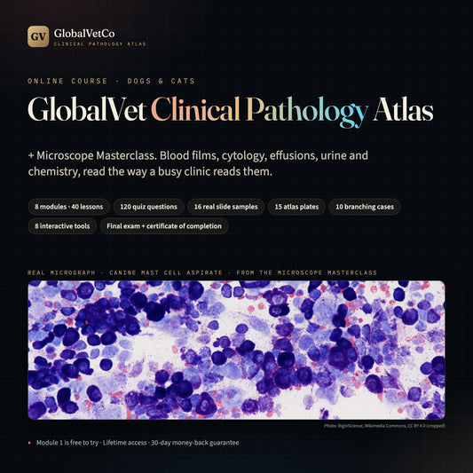GlobalVet Clinical Pathology Atlas + Microscope Masterclass + 10 Clinical Pathology E-books