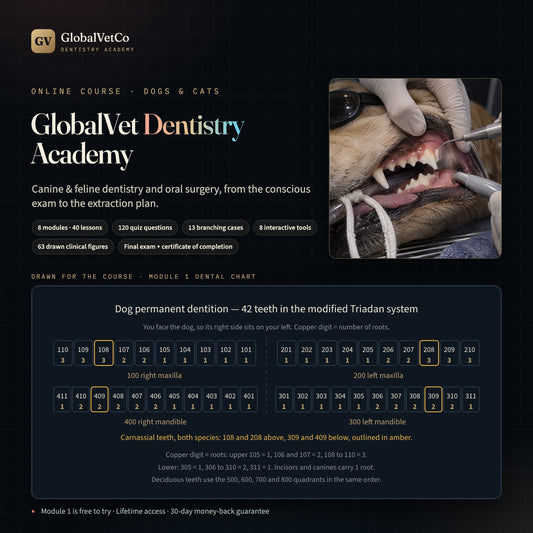 GlobalVet Dentistry Academy + 10 Dentistry E-books