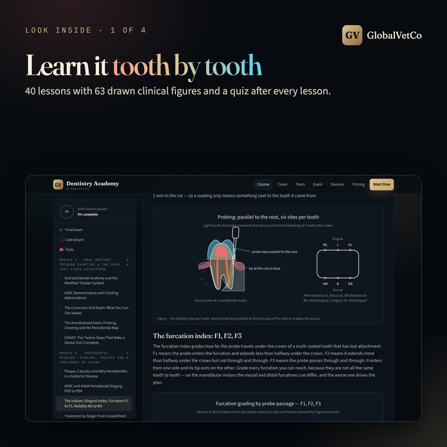GlobalVet Dentistry Academy + 10 Dentistry E-books — look inside 1