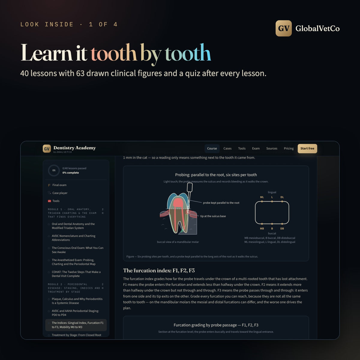 GlobalVet Dentistry Academy — look inside 1