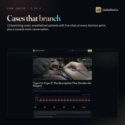 GlobalVet Dentistry Academy — look inside 2