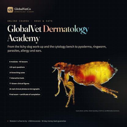 GlobalVet Dermatology Academy