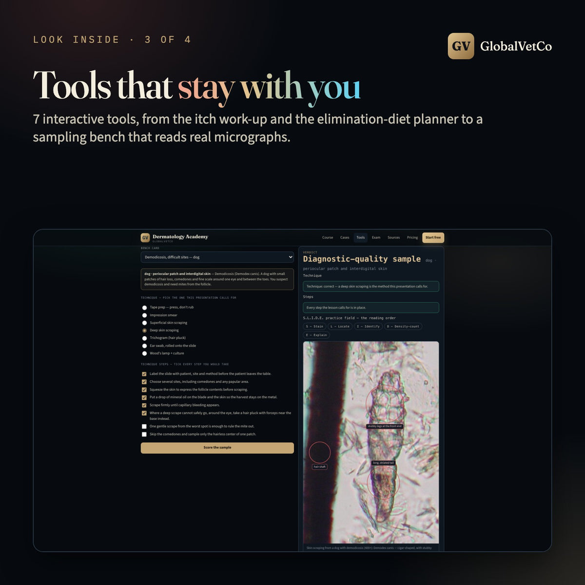 GlobalVet Dermatology Academy + 10 Dermatology E-books — look inside 3