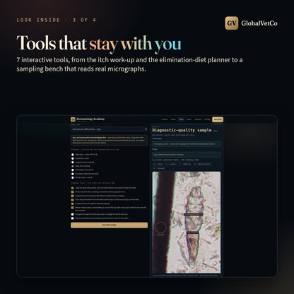 GlobalVet Dermatology Academy + 10 Dermatology E-books — look inside 3