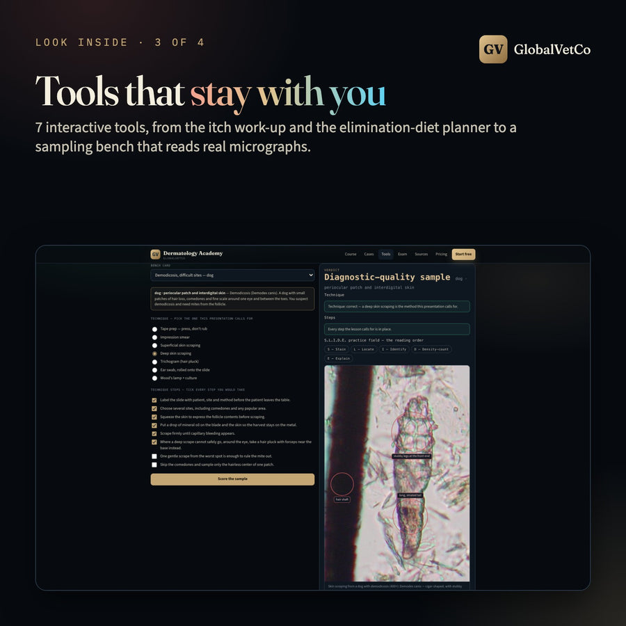 GlobalVet Dermatology Academy + 10 Dermatology E-books — look inside 3