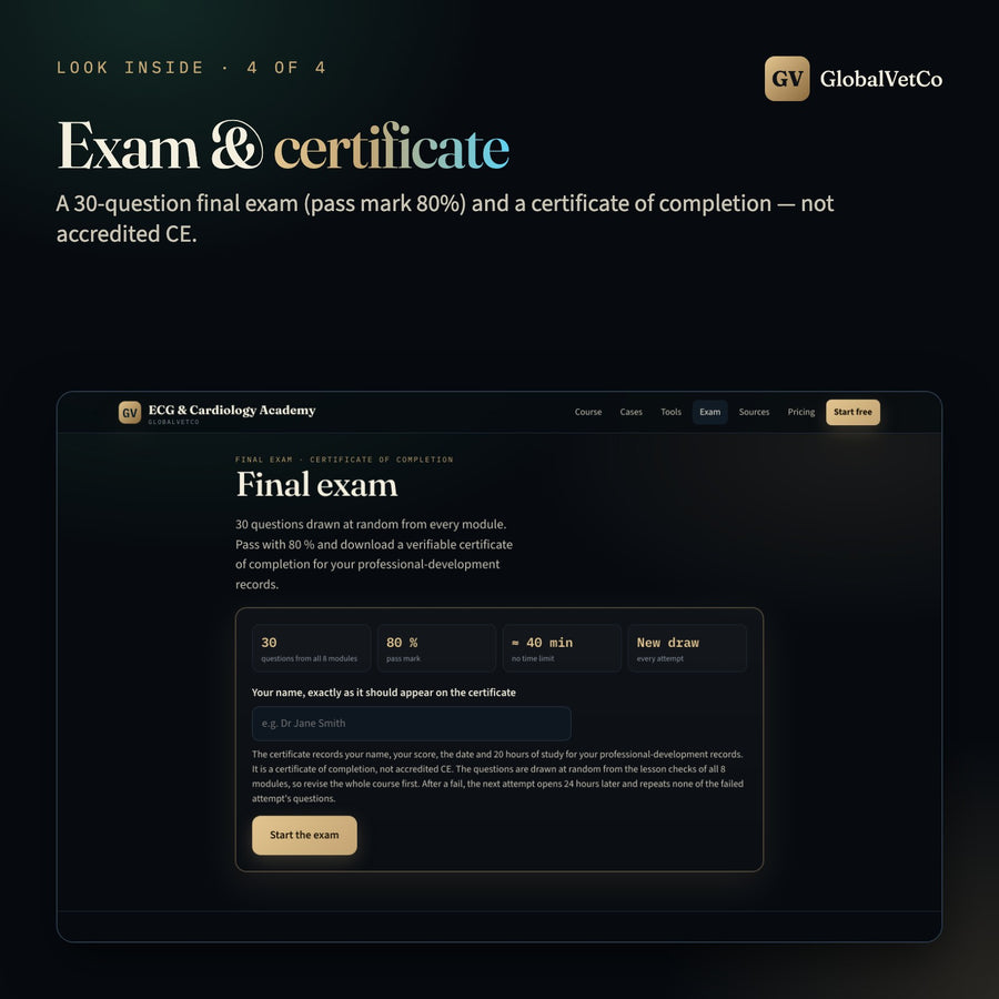 GlobalVet ECG & Cardiology Academy — look inside 4