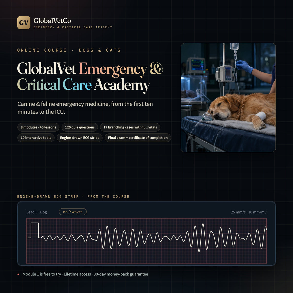 GlobalVet Emergency & Critical Care Academy + 10 Emergency & Critical Care E-books