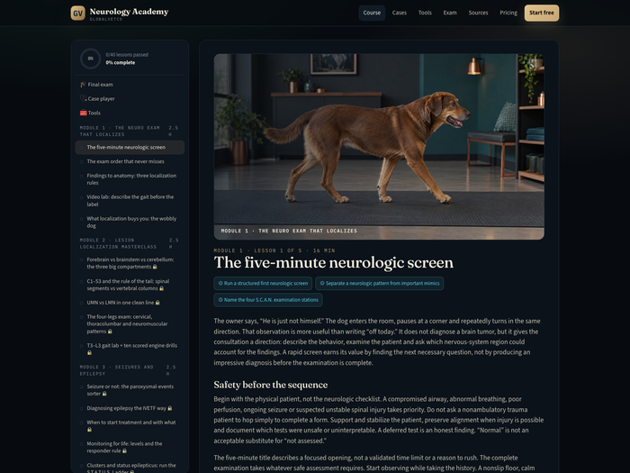 Actual Neurology Academy lesson screen: the five-minute neurologic screen.