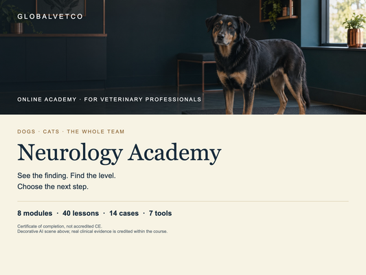 Neurology Academy: 8 modules, 40 lessons, 14 cases and 7 tools. Decorative AI scene, not clinical evidence.