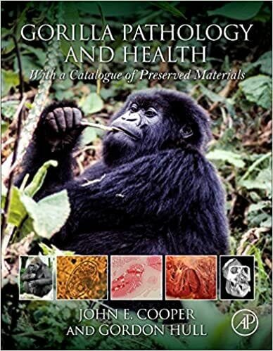 Gorilla Pathology and Health — With a Catalogue of Preserved Materials