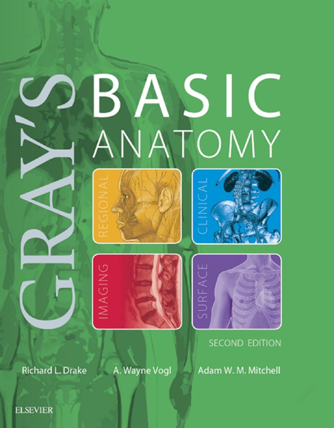 Gray's Basic Anatomy 2nd Edition