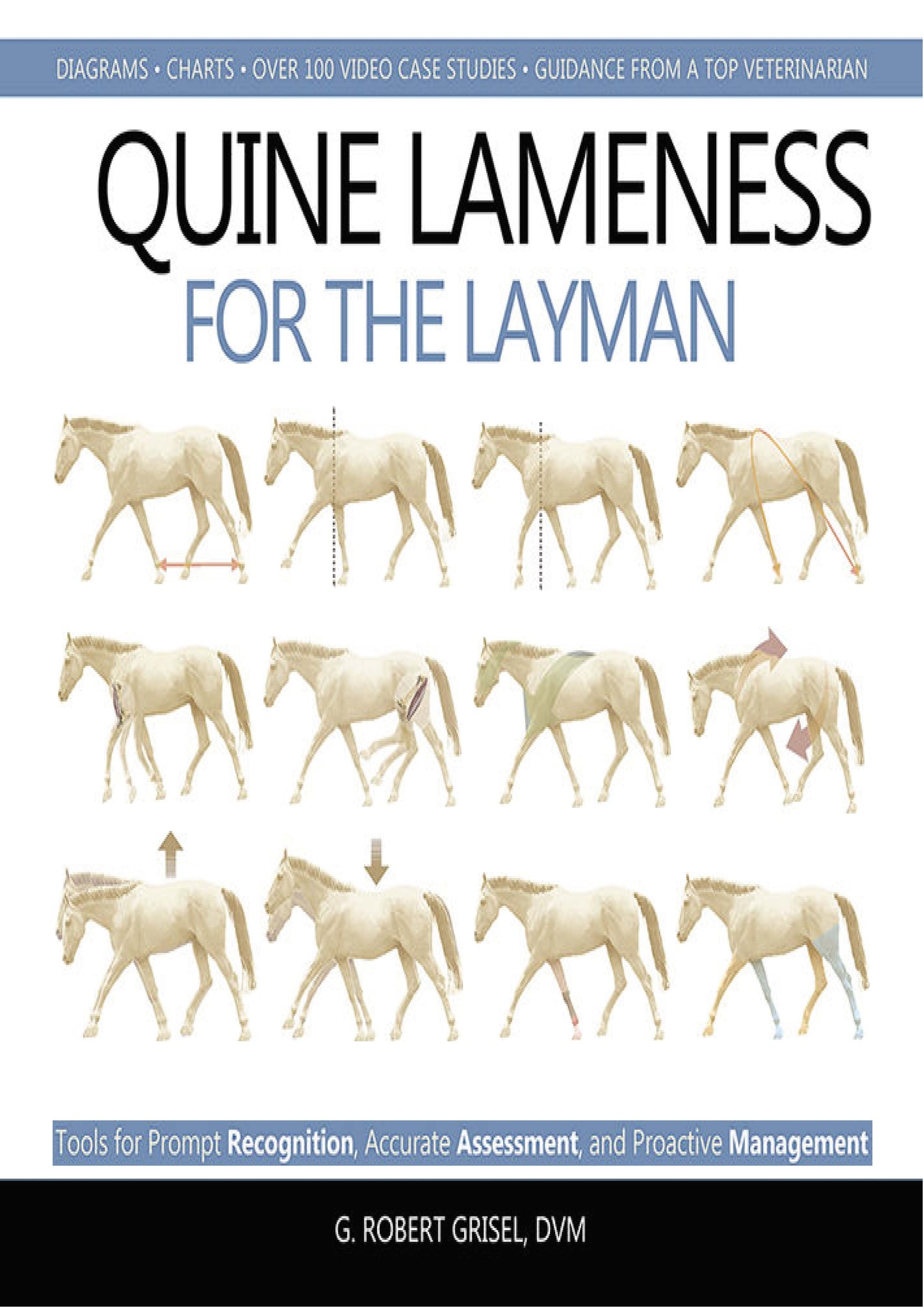 Grisel Equine Lameness For The Layman