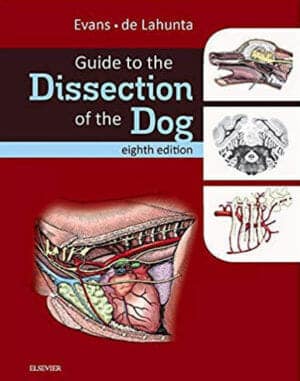 Guide Dissection Dog Download
