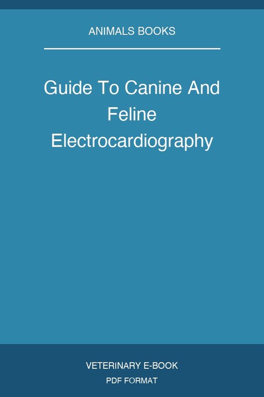 Guide To Canine And Feline Electrocardiography