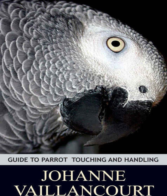 Guide To Parrot Touching And Handling