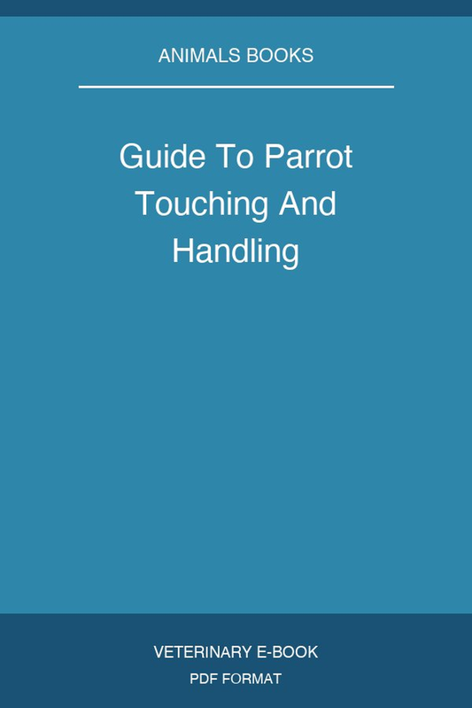 Guide To Parrot Touching And Handling