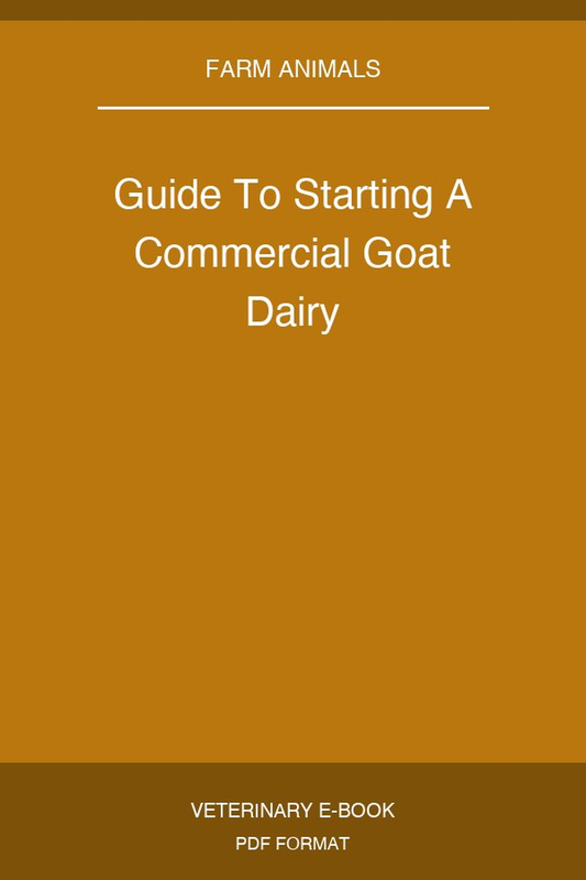 Guide To Starting A Commercial Goat Dairy