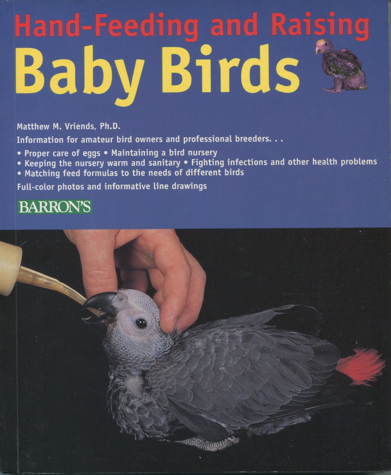 Hand Feeding And Raising Baby Birds Breeding Hand Feeding Care And Management