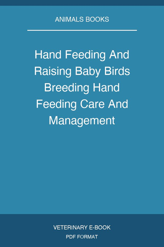 Hand Feeding And Raising Baby Birds Breeding Hand Feeding Care And Management
