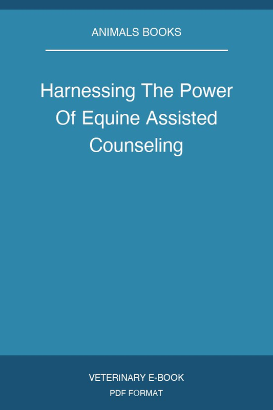Harnessing The Power Of Equine Assisted Counseling