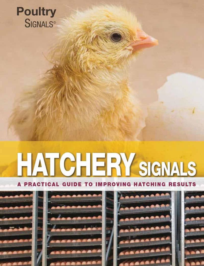 Hatchery Signals A Practical Guide To Improving Hatching Results