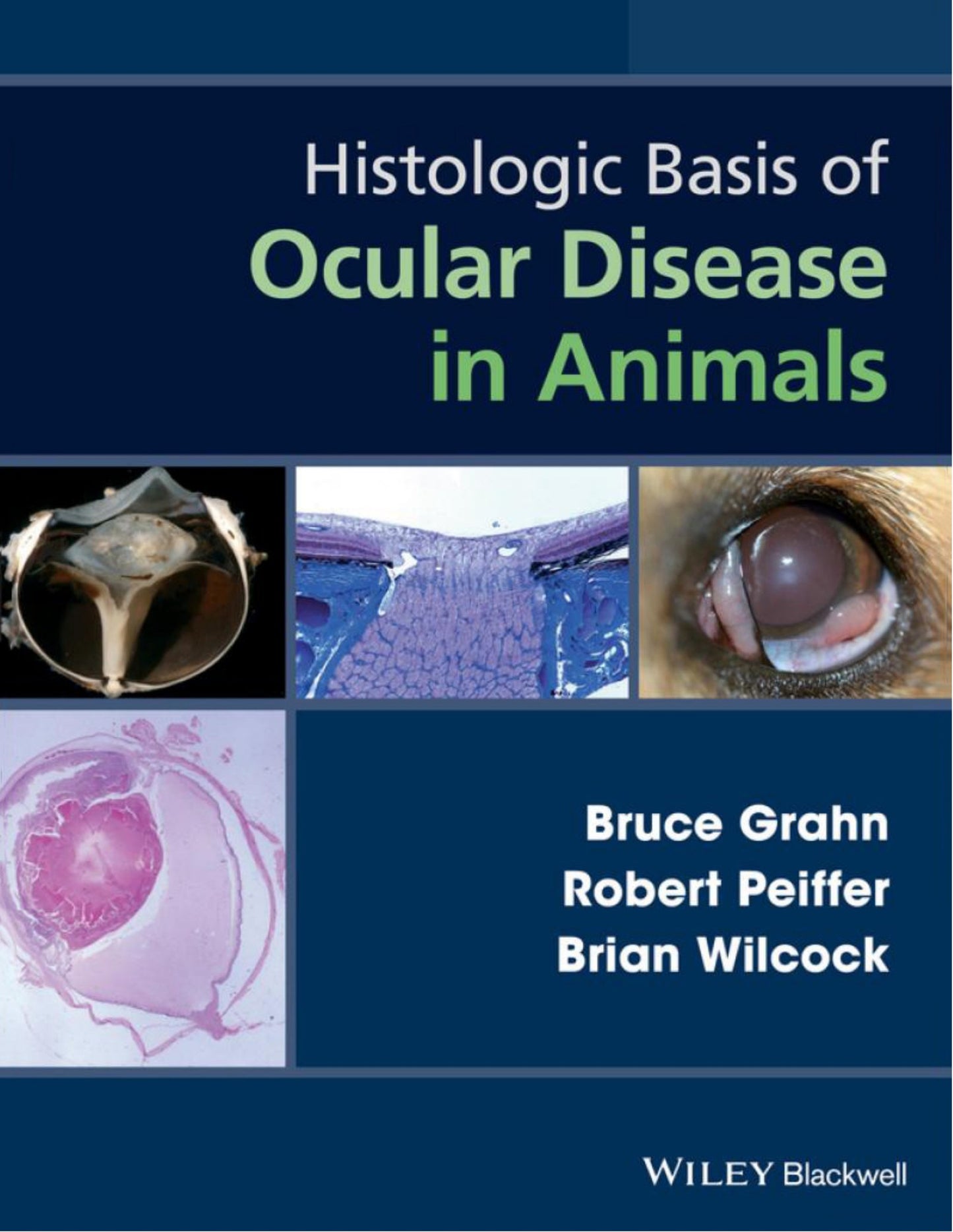 Histologic Basis Of Ocular Disease In Animals