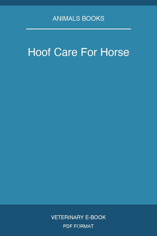 Hoof Care For Horse