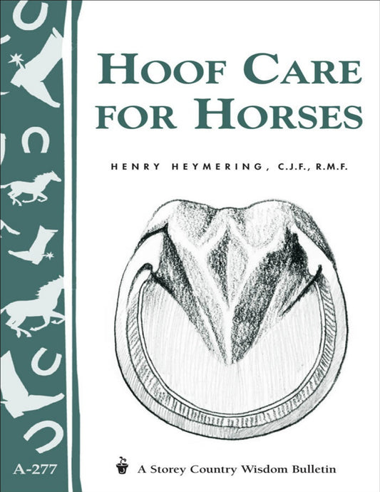 Hoof Care For Horse