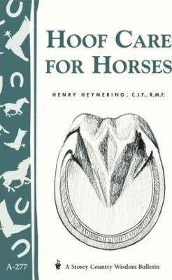 Hoof Care For Horse