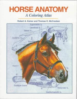 Horse Anatomy Coloring Atlas 2Nd Edition