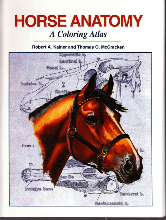Horse Anatomy Coloring Atlas 2Nd Edition