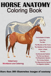 Horse Anatomy Coloring Book