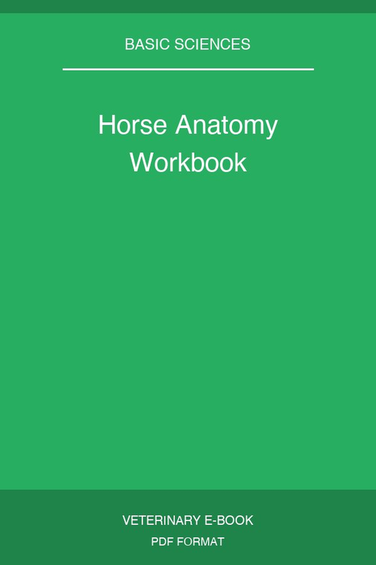 Horse Anatomy Workbook