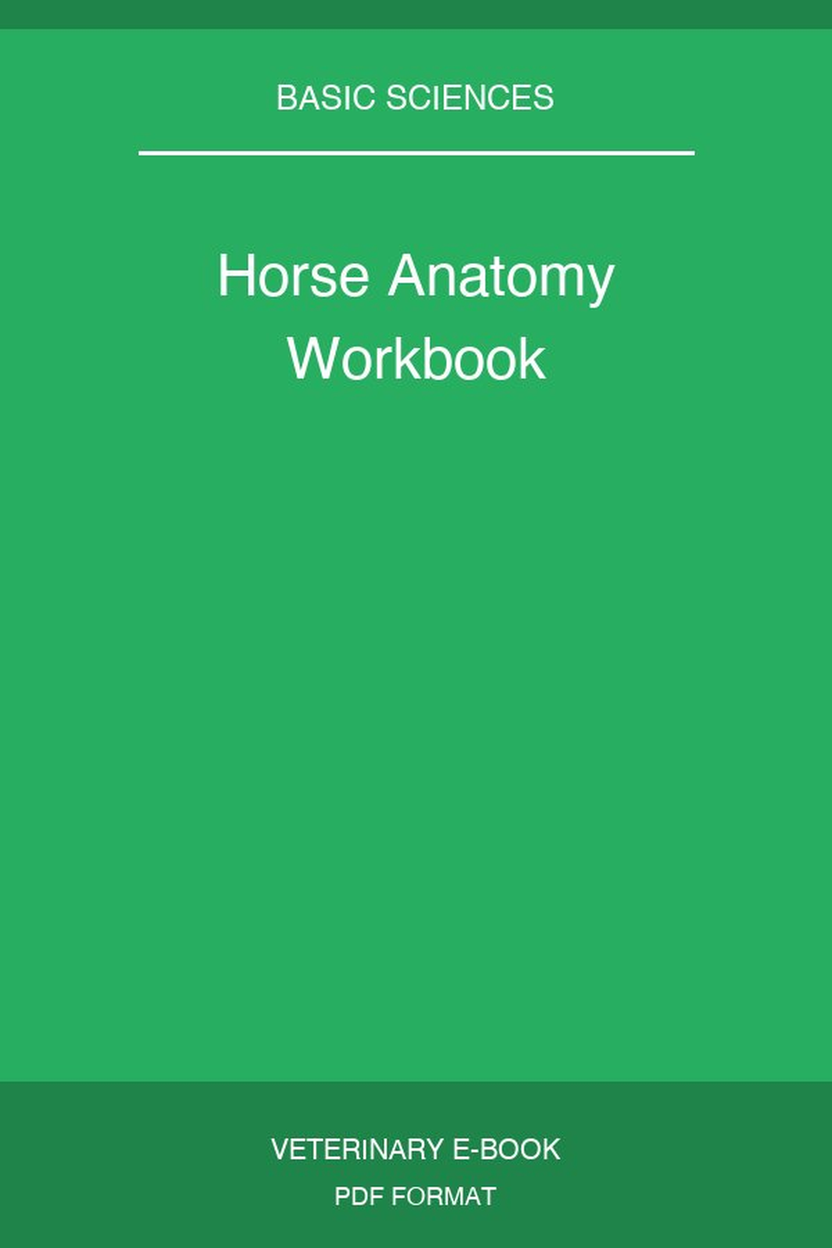 Horse Anatomy Workbook
