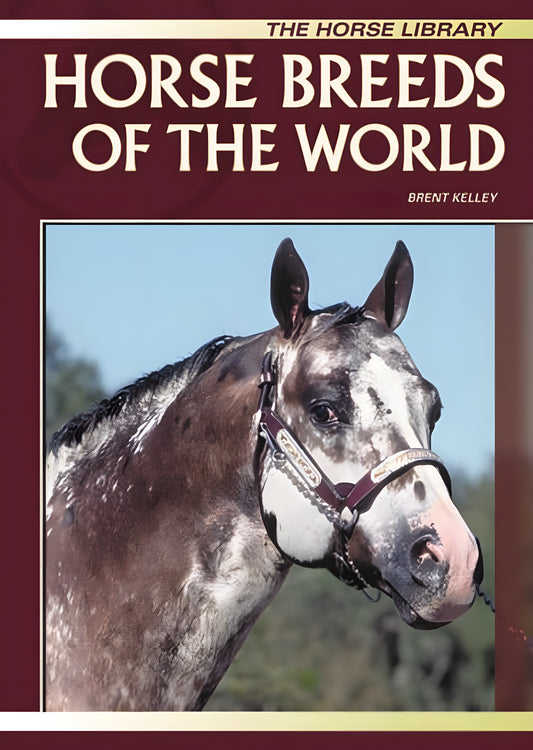 Horse Breeds Of The World