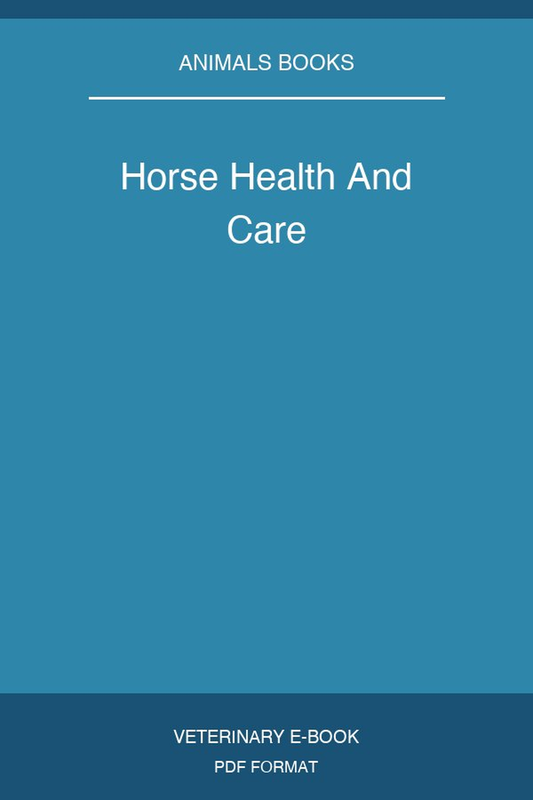 Horse Health And Care