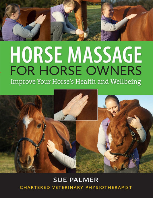 Horse Massage For Horse Owners Improve Your Horses Health And Wellbeing