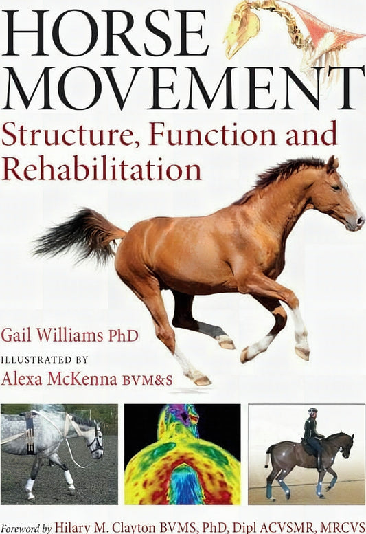 Horse Movement Structure Function And Rehabilitation