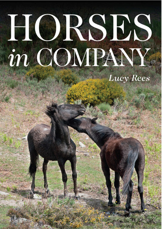 Horses In Company