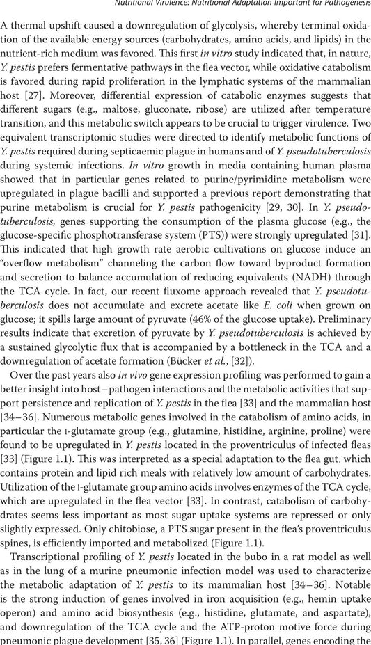 Host Pathogen Interaction Microbial Metabolism Pathogenicity And Antiinfectives