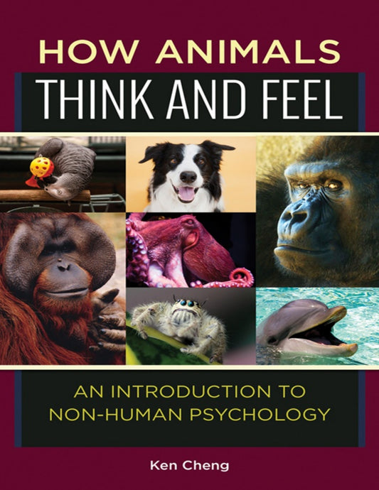 How Animals Think And Feel An Introduction To Non Human Psychology