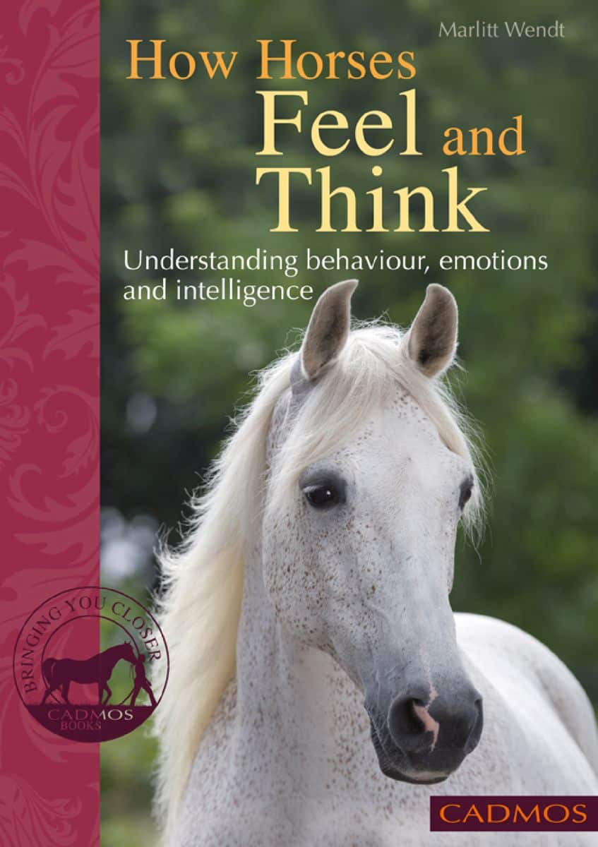 How Horses Feel and Think