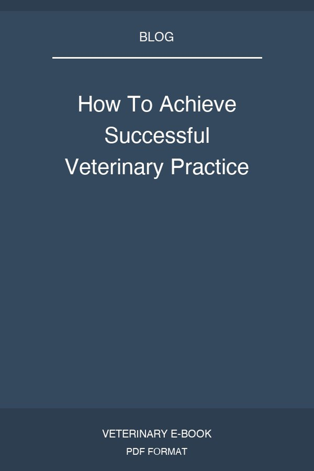 How To Achieve Successful Veterinary Practice