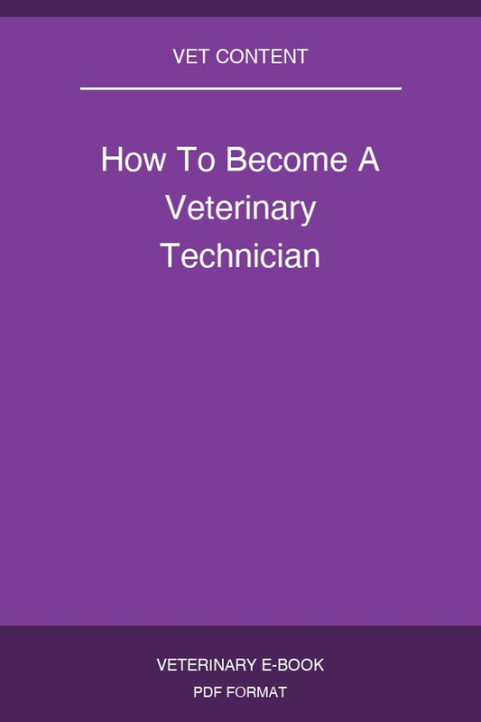 How To Become A Veterinary Technician