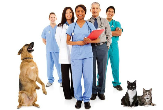 How To Start A Veterinary Practice