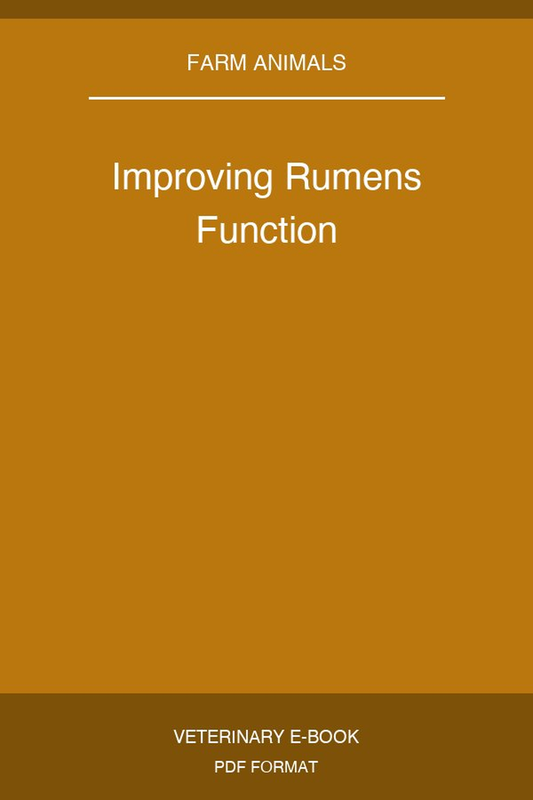 Improving Rumens Function