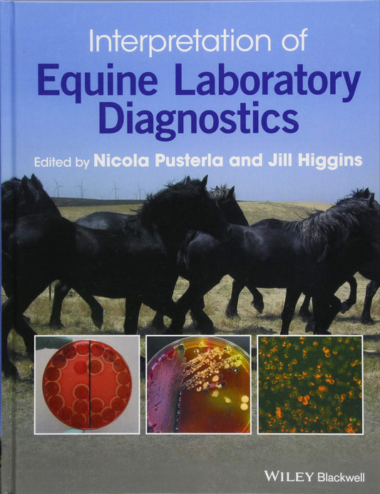 Interpretation Of Equine Laboratory Diagnostics — front cover