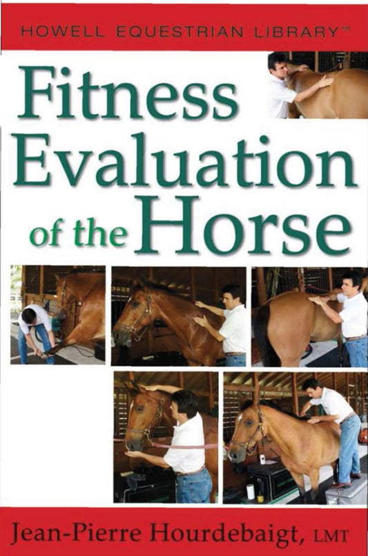 Jean Fitness Evaluation Of The Horses